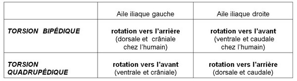 26_GUILLARD_05_tableau1bis.jpg
