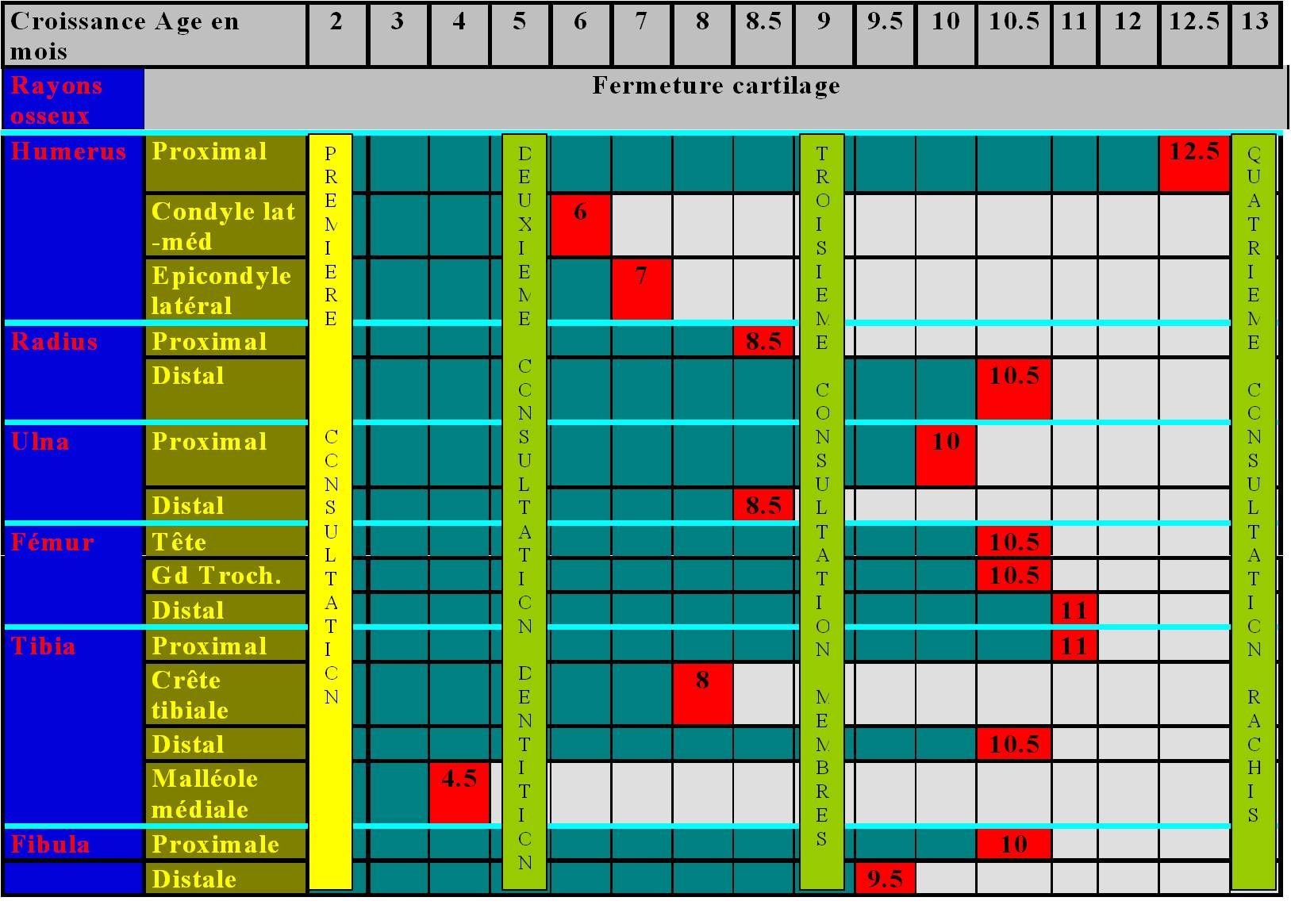 Tableau_1.jpg