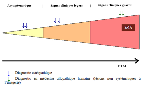 boisseleau5.jpg