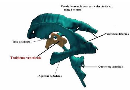 Capture02_opt-5.jpg