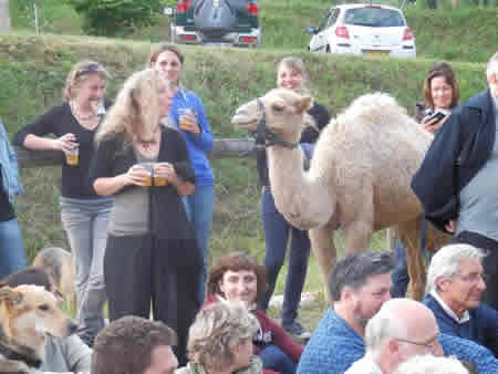 rencontres_2013.jpg