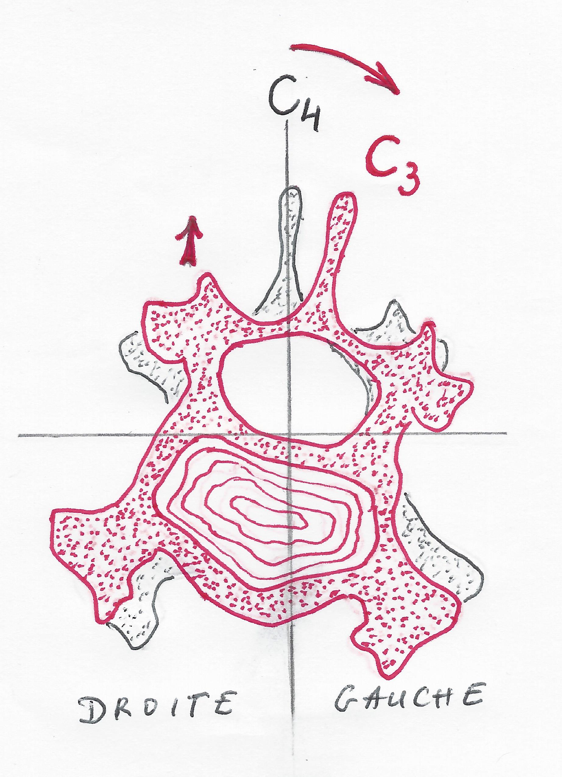 rotation_d_cervicale.jpg
