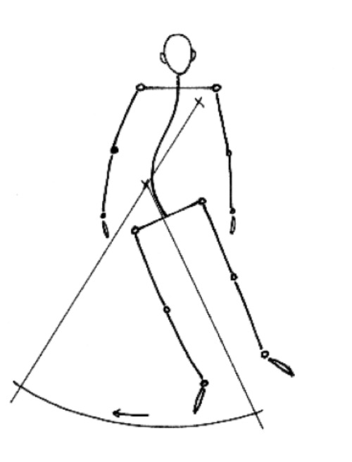 schema_colonne_humain.jpg