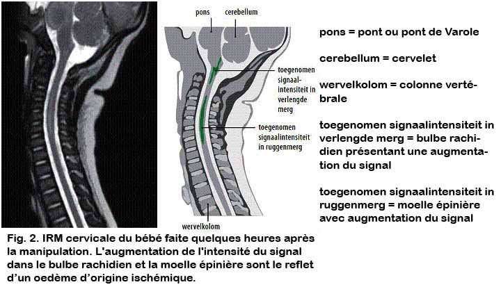 sciwora_02.jpg