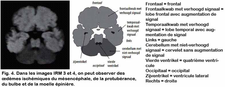sciwora_04.jpg