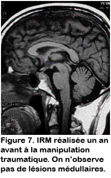 sciwora_07.jpg