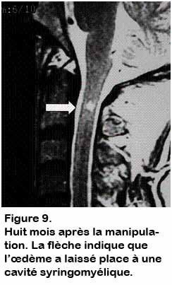 sciwora_09.jpg