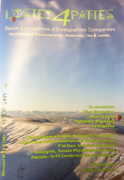 osteo4pattes_43b_420.jpg