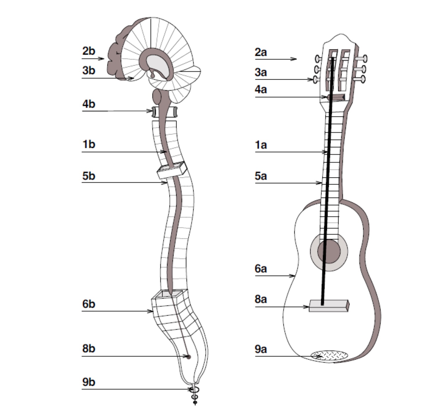 fig_2.jpg