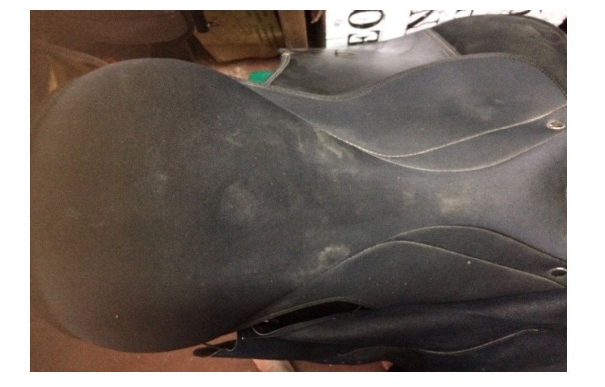 selle.jpg