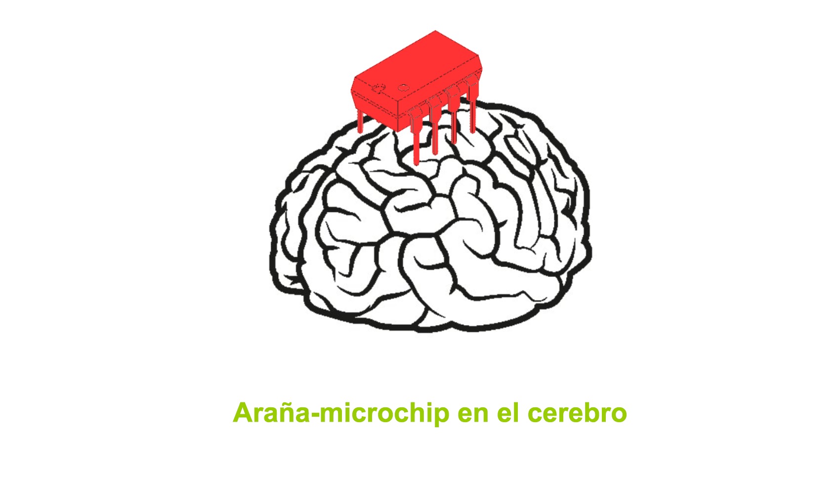 brain.jpg