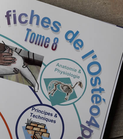t8_fiches_osteo4pattes_420.jpg