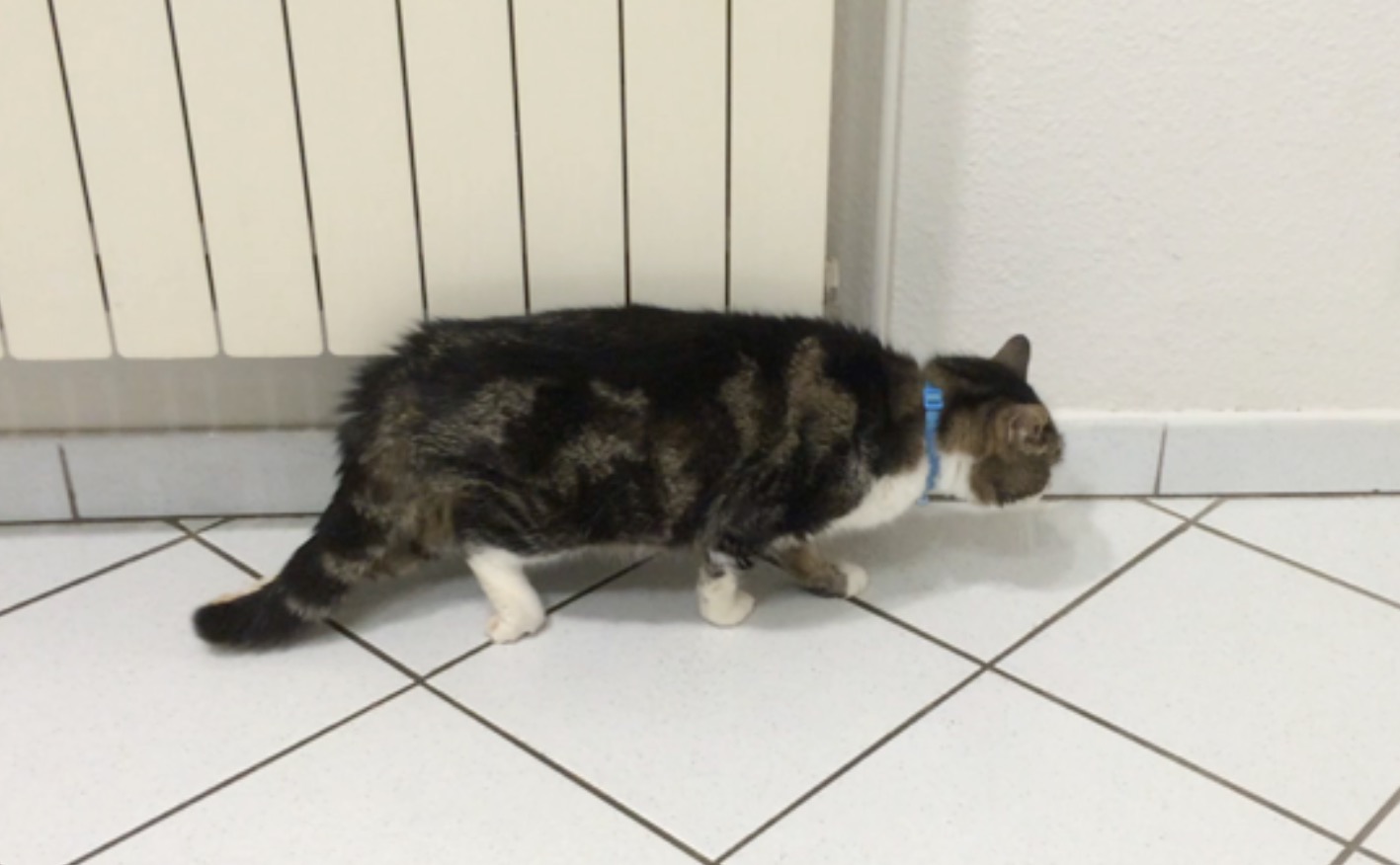 confetti_pa...<div class=