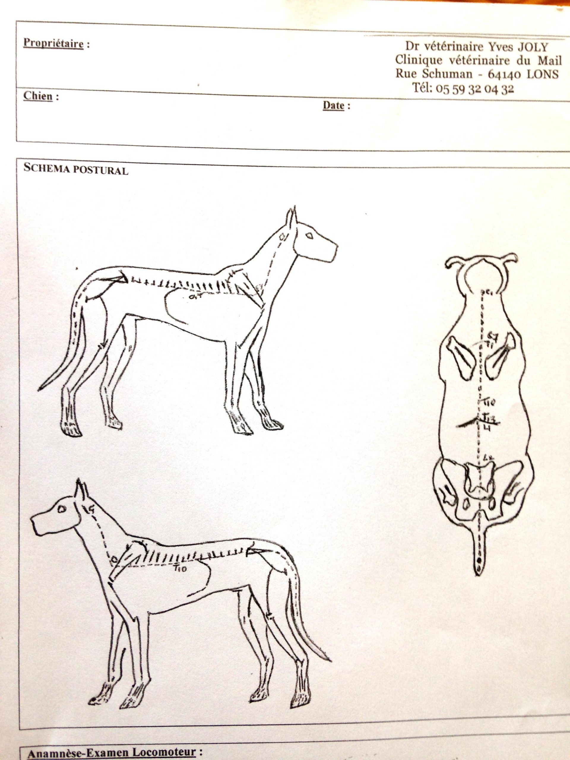 schema_posture.jpg