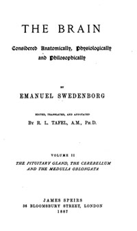 Tafel, The Brain (1882)