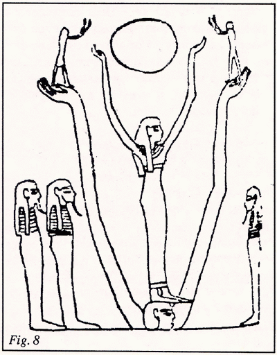 osteo_15_fig08.gif