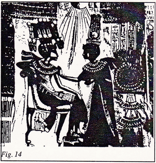 osteo_15_fig14.gif