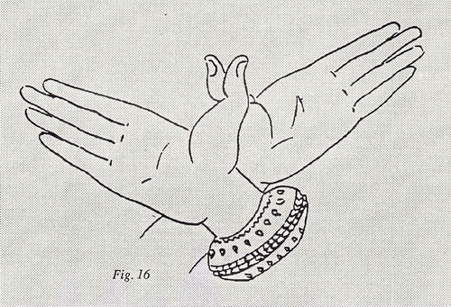 osteo_15_fig16.gif