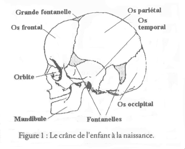 revue_es41-tricot-fig01.jpg