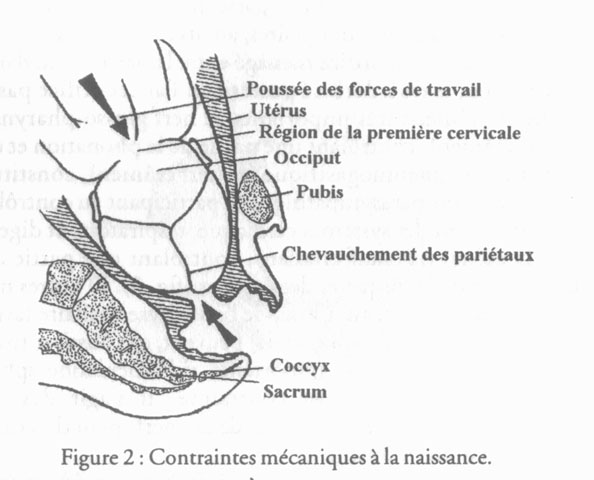revue_es41-tricot-fig02.jpg