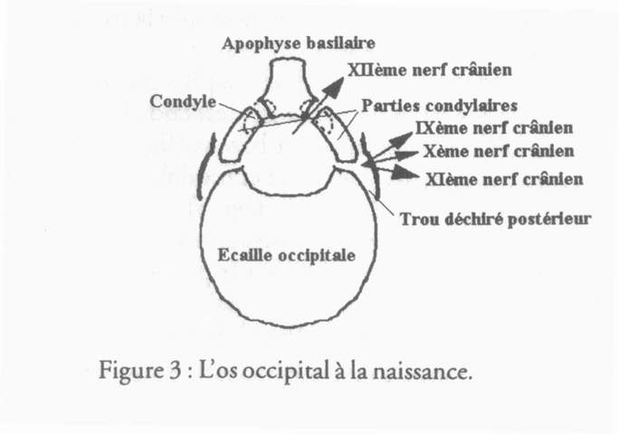 revue_es41-tricot-fig03.jpg