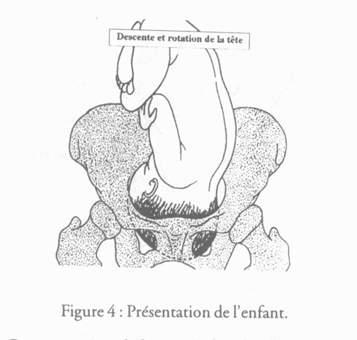 revue_es41-tricot-fig04.jpg