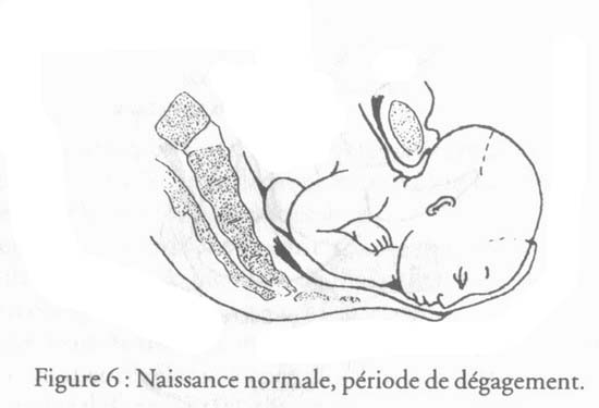 revue_es41-tricot-fig06.jpg