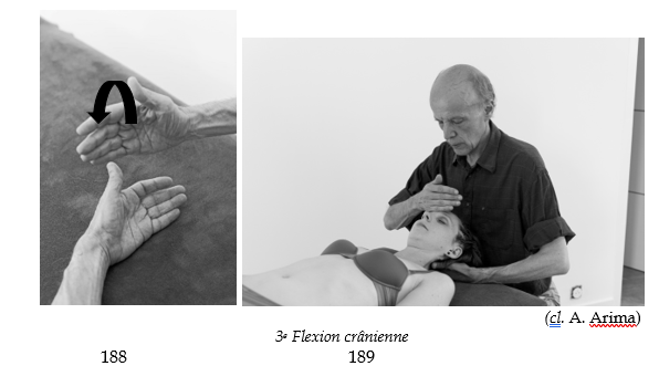 3e_flexion.fw.png