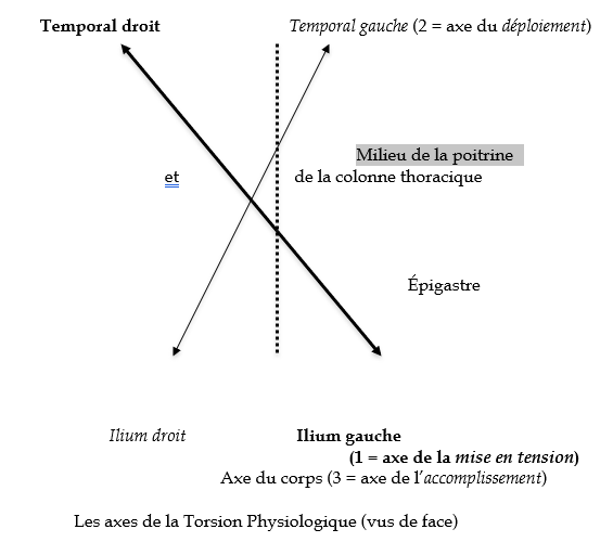sans_titre-3.fw.png