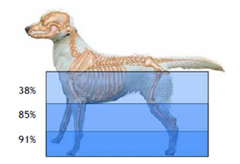 image1-2.png