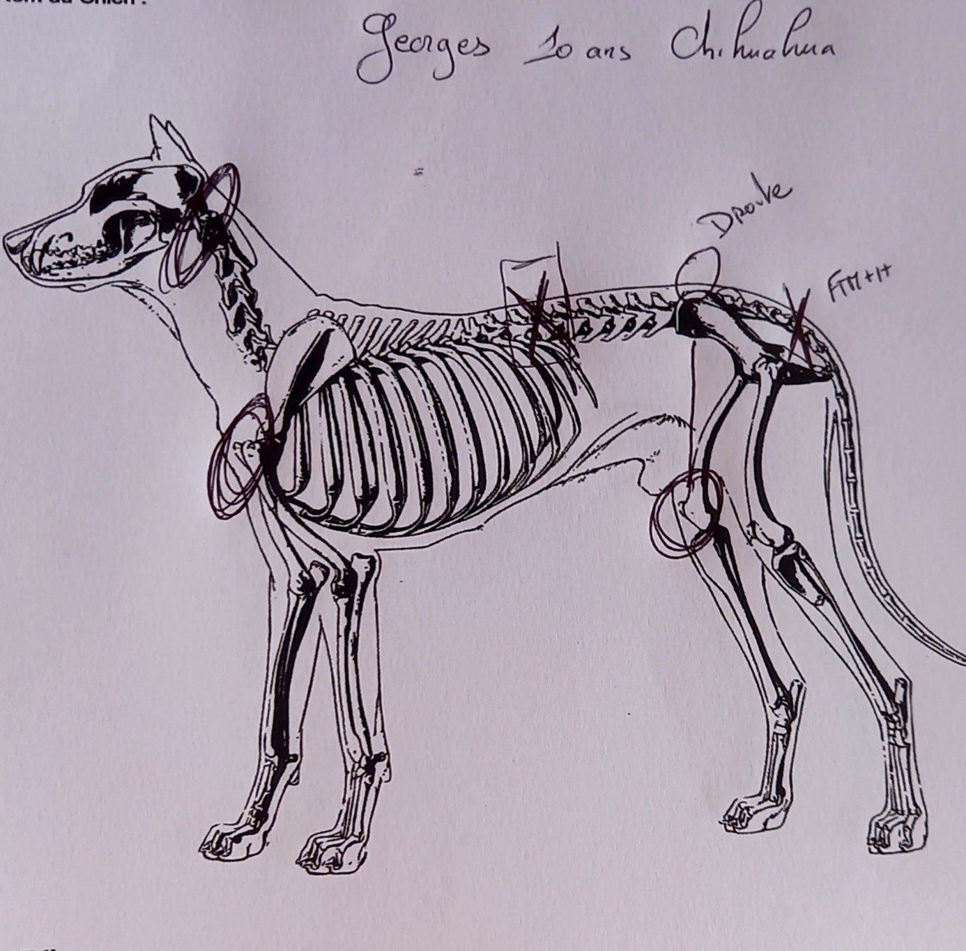 cr_georges.jpg