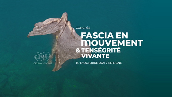 fascia-in-motion_visuel_final_f0-b38c5.jpg
