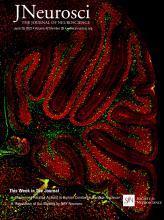jneurosci_26.jpg