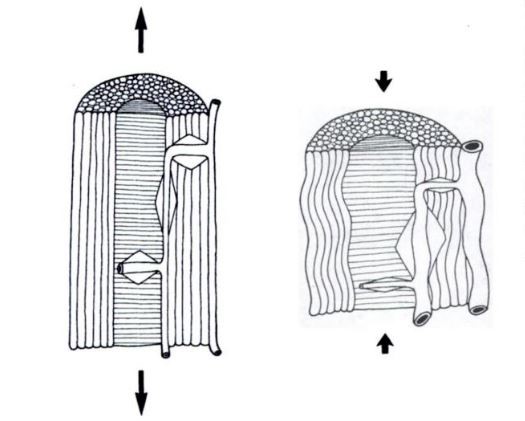 fig_13.jpg