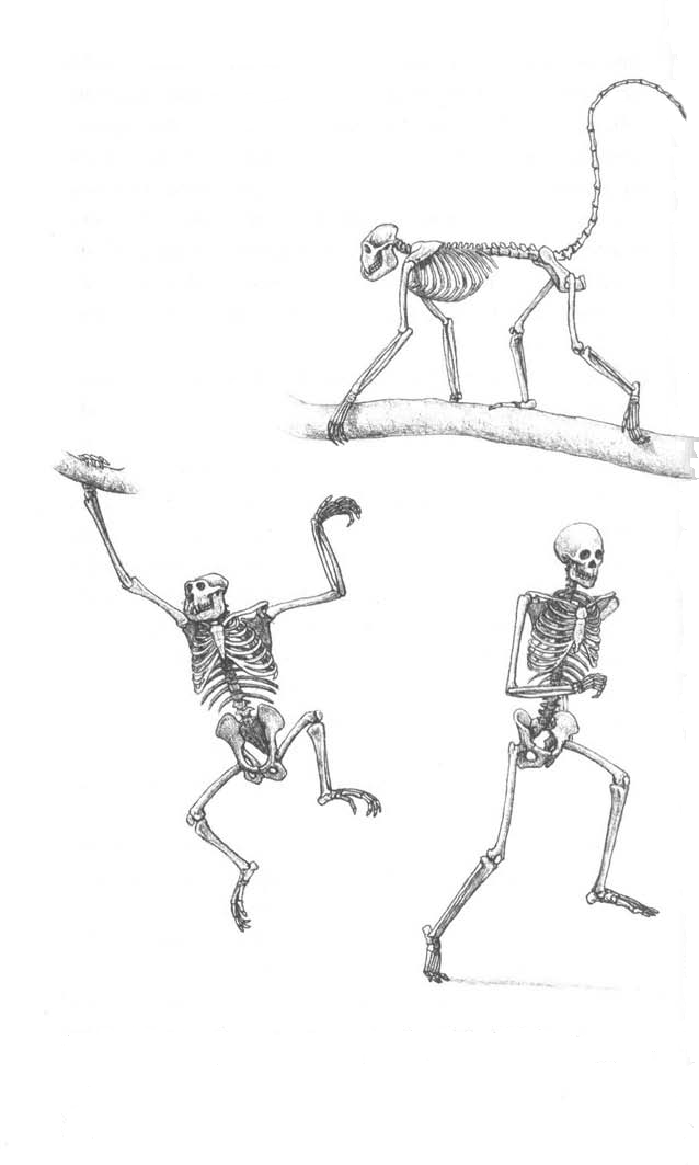 fig_2.png