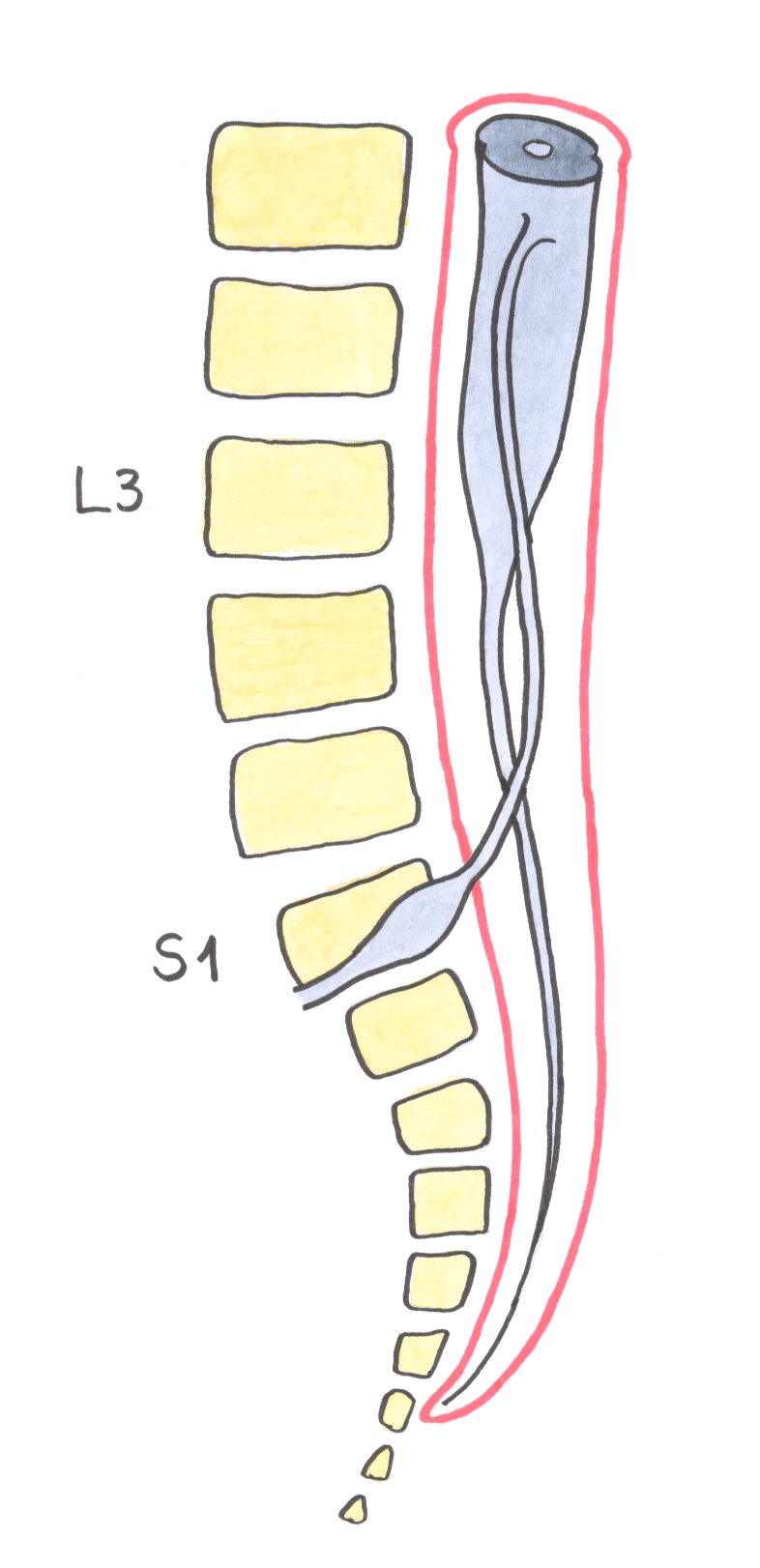 fig_6.png