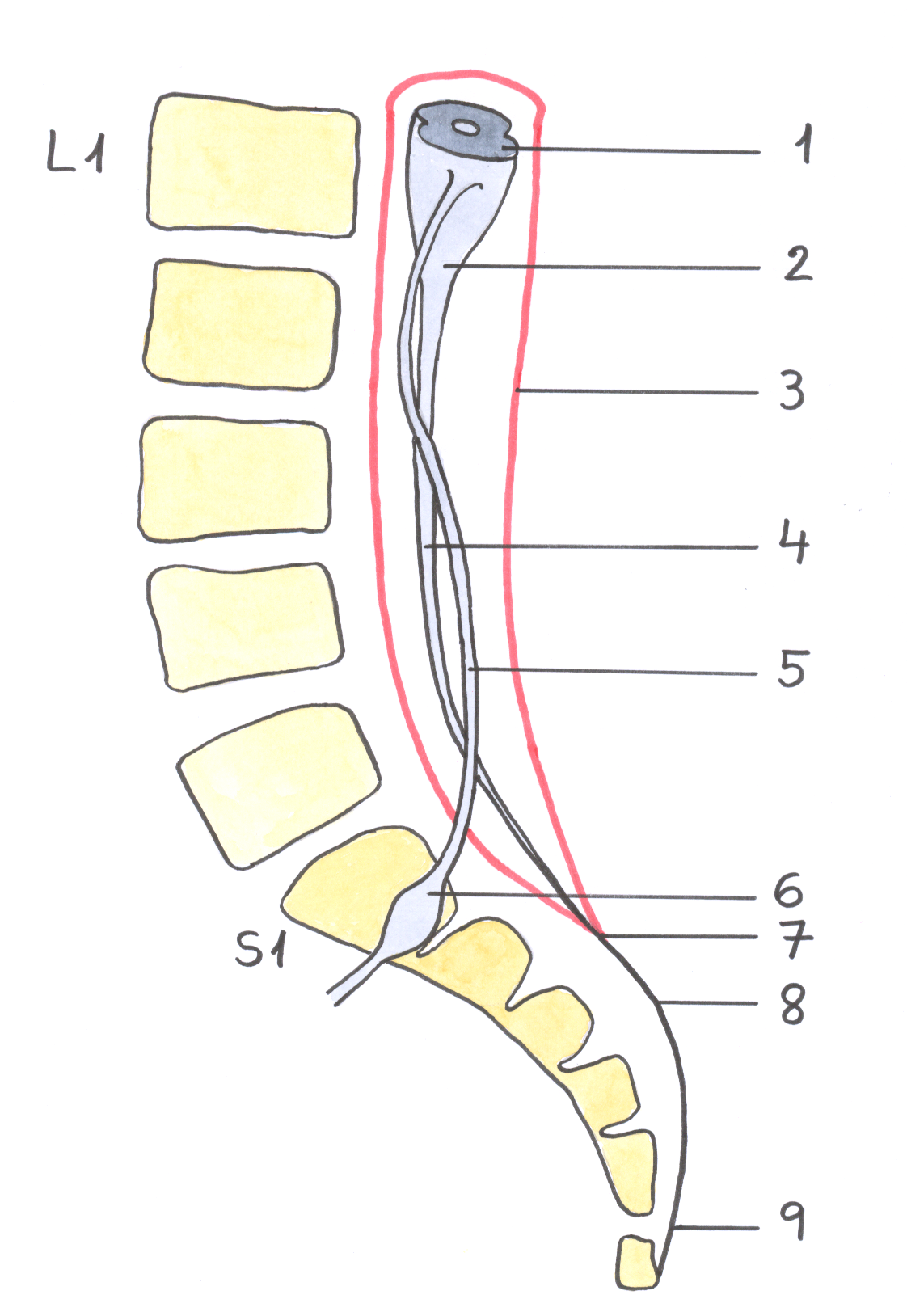 fig_7.png