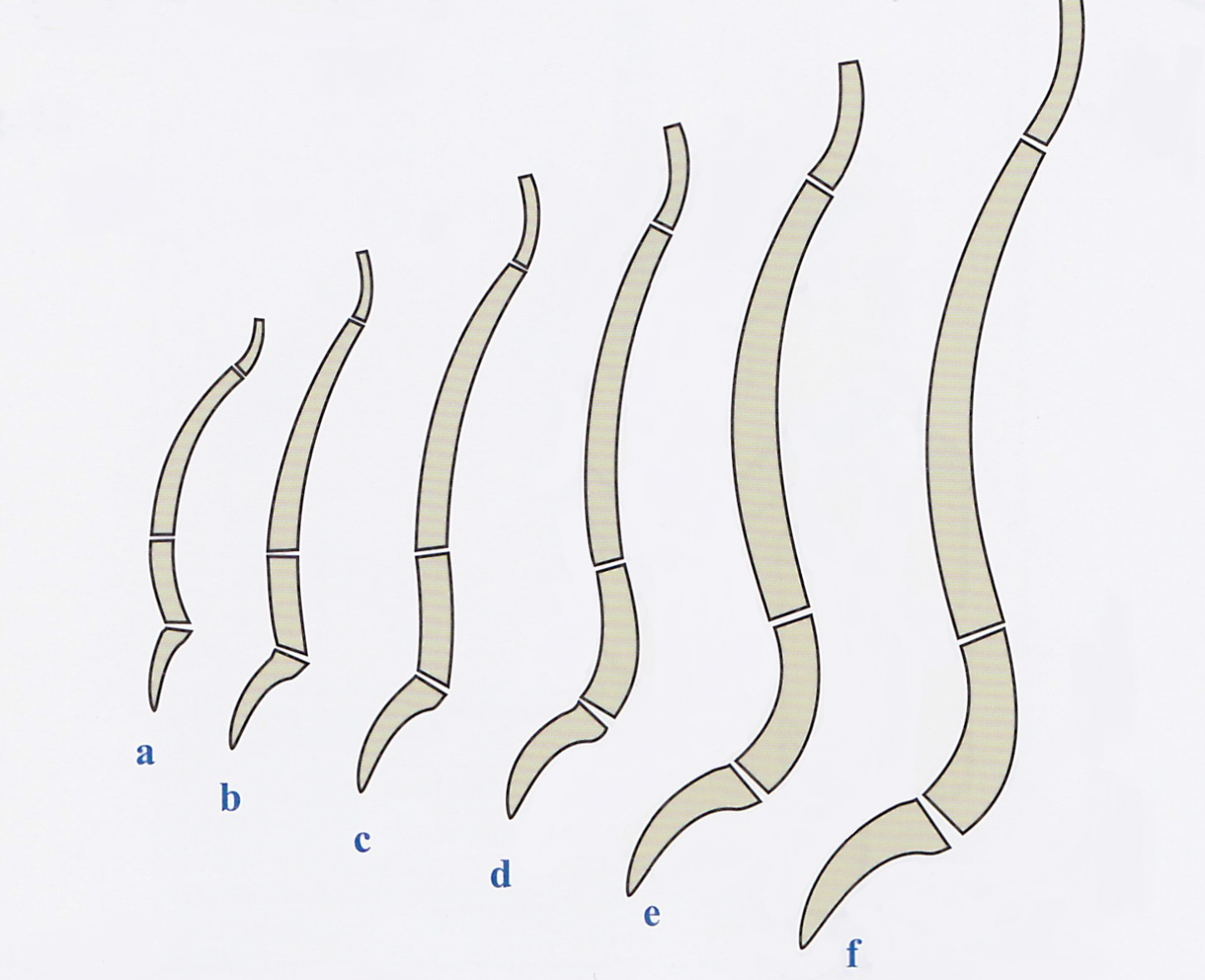fig_8.png