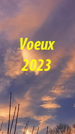 arton2957.jpg