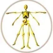 arton86.jpg